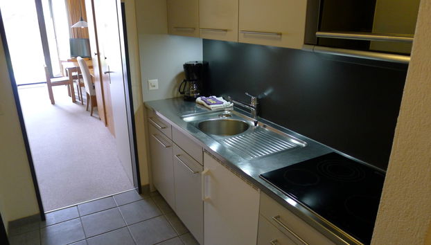 Apartment mit 2 Schlafzimmern in Disentis/Mustér mit schwimmbad und garten - Foto 4