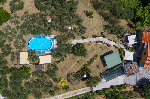 Foto 32 - Appartamento con 2 camere da letto a Pescia con piscina e giardino