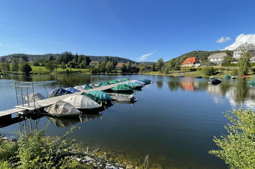 Foto 33 - Appartamento con 1 camera da letto a Schluchsee con giardino e vista sulle montagne