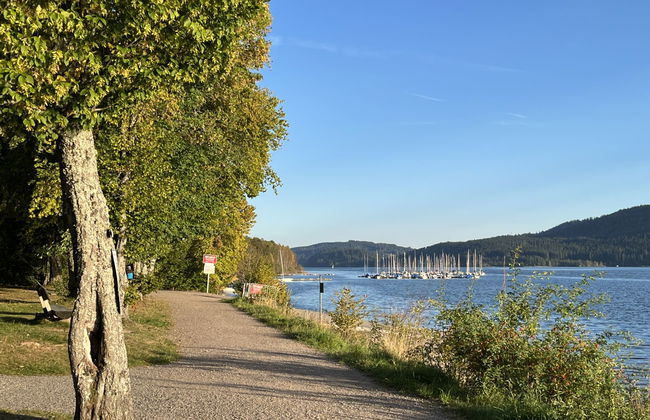 Apartamento de 2 quartos em Schluchsee com piscina e jardim - Foto 43