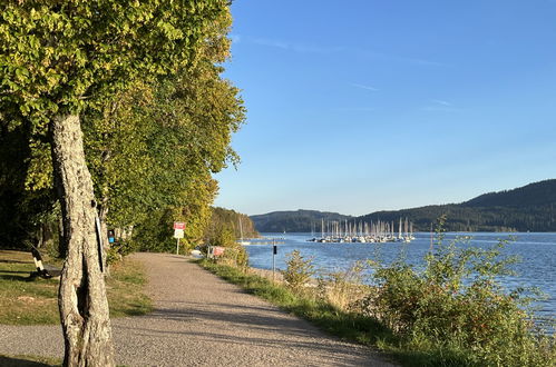 Photo 30 - 1 bedroom Apartment in Schluchsee with garden and mountain view