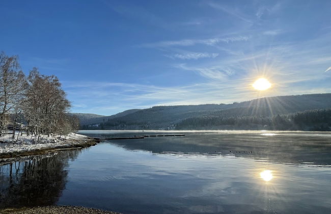 Apartamento de 2 quartos em Schluchsee com piscina e jardim - Foto 46