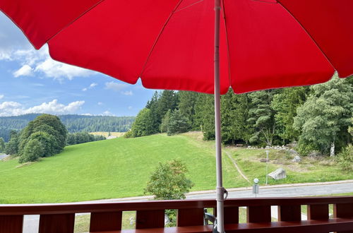 Foto 20 - Apartamento de 1 quarto em Schluchsee com piscina e jardim