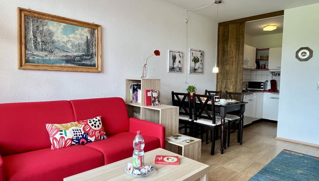 Apartamento de 2 quartos em Schluchsee com piscina e jardim - Foto 4