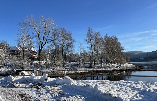 Apartamento de 2 quartos em Schluchsee com piscina e jardim - Foto 45