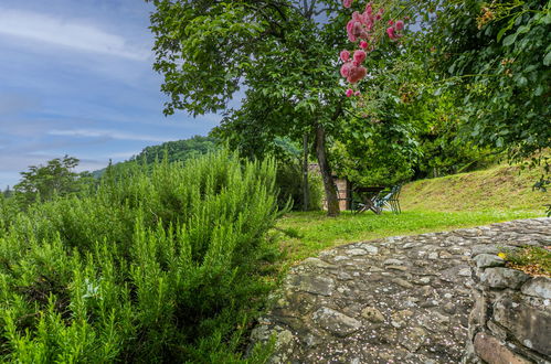 Foto 54 - Casa de 3 habitaciones en Pescia con piscina y jardín