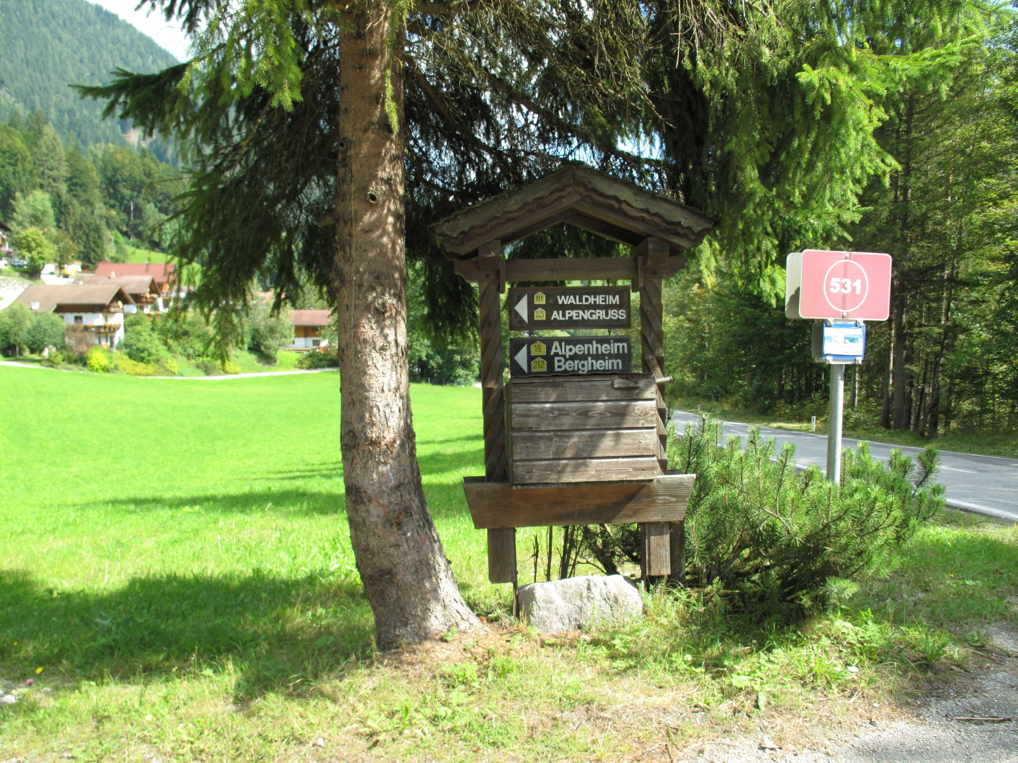 Foto 21 - Apartment mit 1 Schlafzimmer in Ramsau am Dachstein mit garten und blick auf die berge