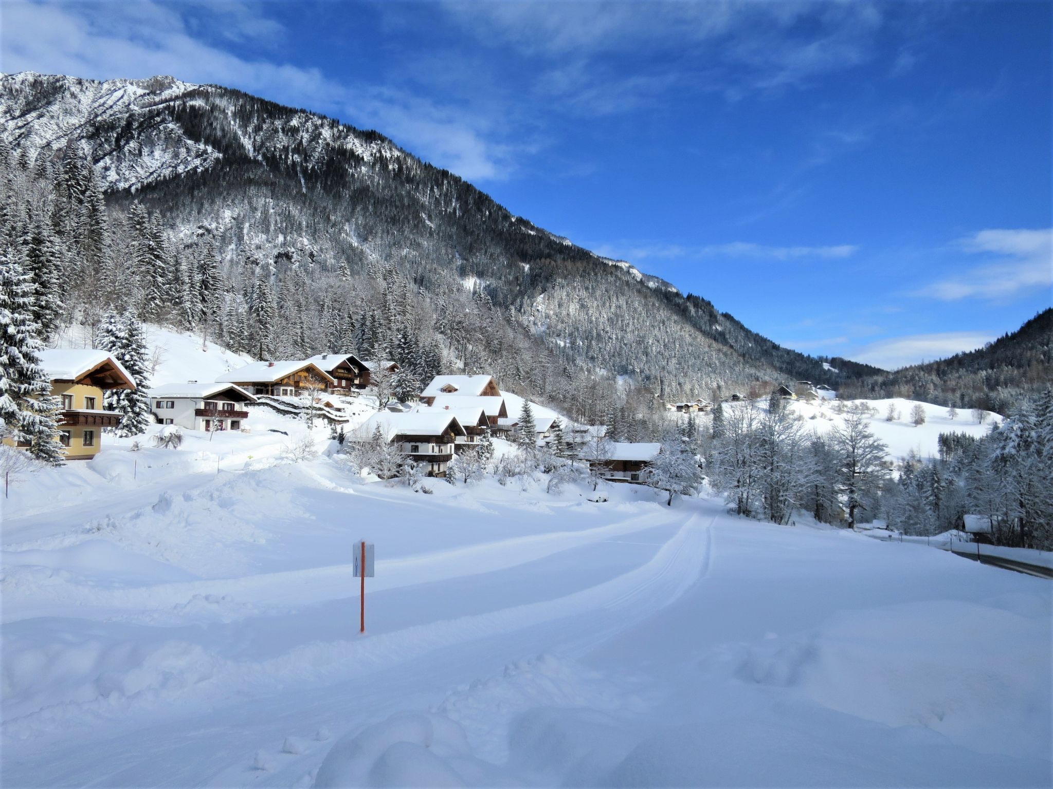 Foto 27 - Apartamento de 1 quarto em Ramsau am Dachstein com jardim e terraço