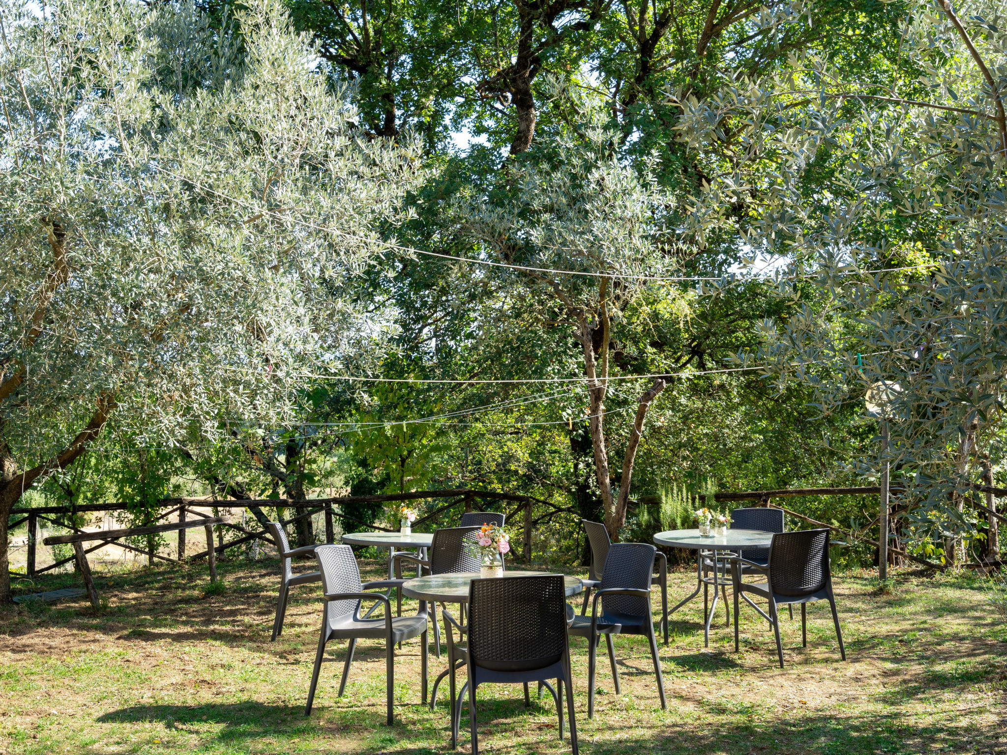 Photo 37 - Maison de 5 chambres à Montevarchi avec piscine privée et jardin