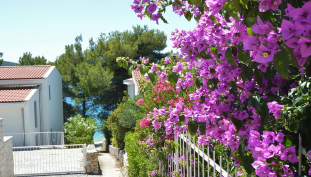 Apartment mit 2 Schlafzimmern in Sibenik mit garten und terrasse - Foto 2