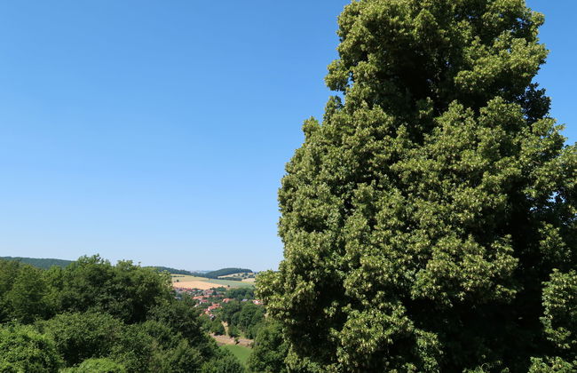 Apartamento de 3 quartos em Nentershausen com jardim e terraço - Foto 25