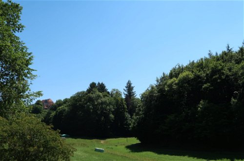 Foto 34 - Appartamento con 2 camere da letto a Nentershausen con giardino e vista sulle montagne
