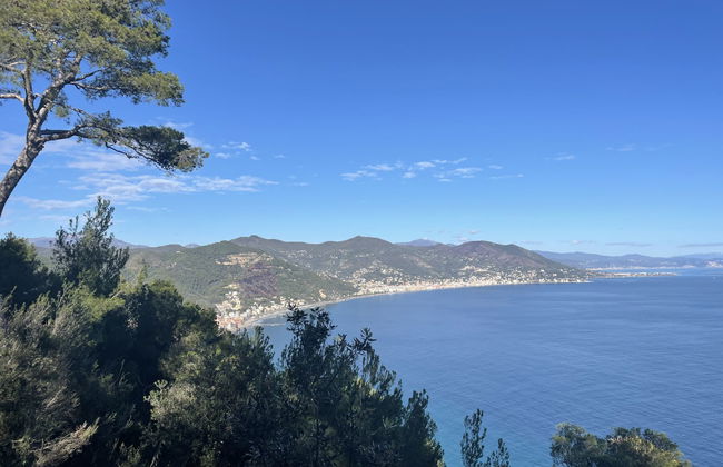 Apartment A2 (AND112) - Foto 20