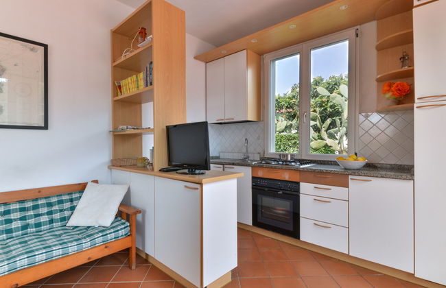 Casa de 3 quartos em Rio com jardim e terraço - Foto 8
