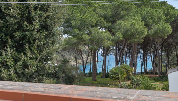 Haus mit 3 Schlafzimmern in Rio mit garten und terrasse - Foto 3
