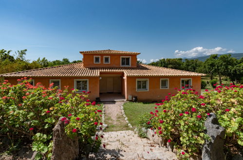 Foto 1 - Casa de 3 quartos em Prunelli-di-Fiumorbo com piscina e vistas do mar