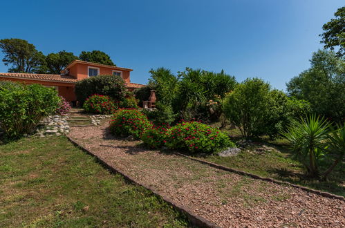 Foto 2 - Casa con 3 camere da letto a Prunelli-di-Fiumorbo con piscina e vista mare