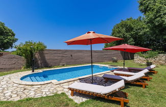 Foto 1 - Casa con 2 camere da letto a Ližnjan con piscina privata e giardino