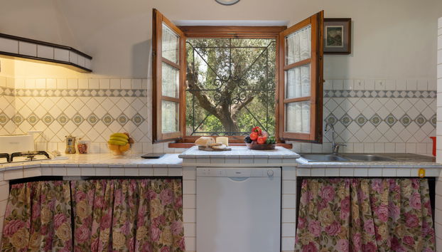 Maison de 3 chambres à Bibbona avec piscine privée et jardin - Photo 4