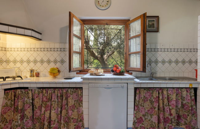 Maison de 3 chambres à Bibbona avec piscine privée et jardin - Photo 4