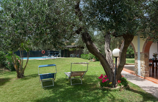 Maison de 3 chambres à Bibbona avec piscine privée et jardin - Photo 5