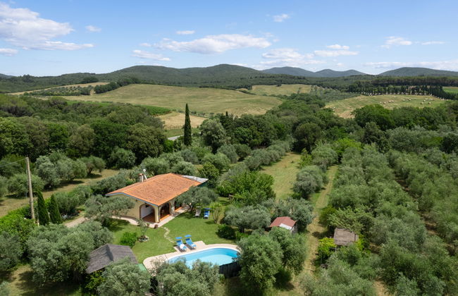 Maison de 3 chambres à Bibbona avec piscine privée et jardin - Photo 1