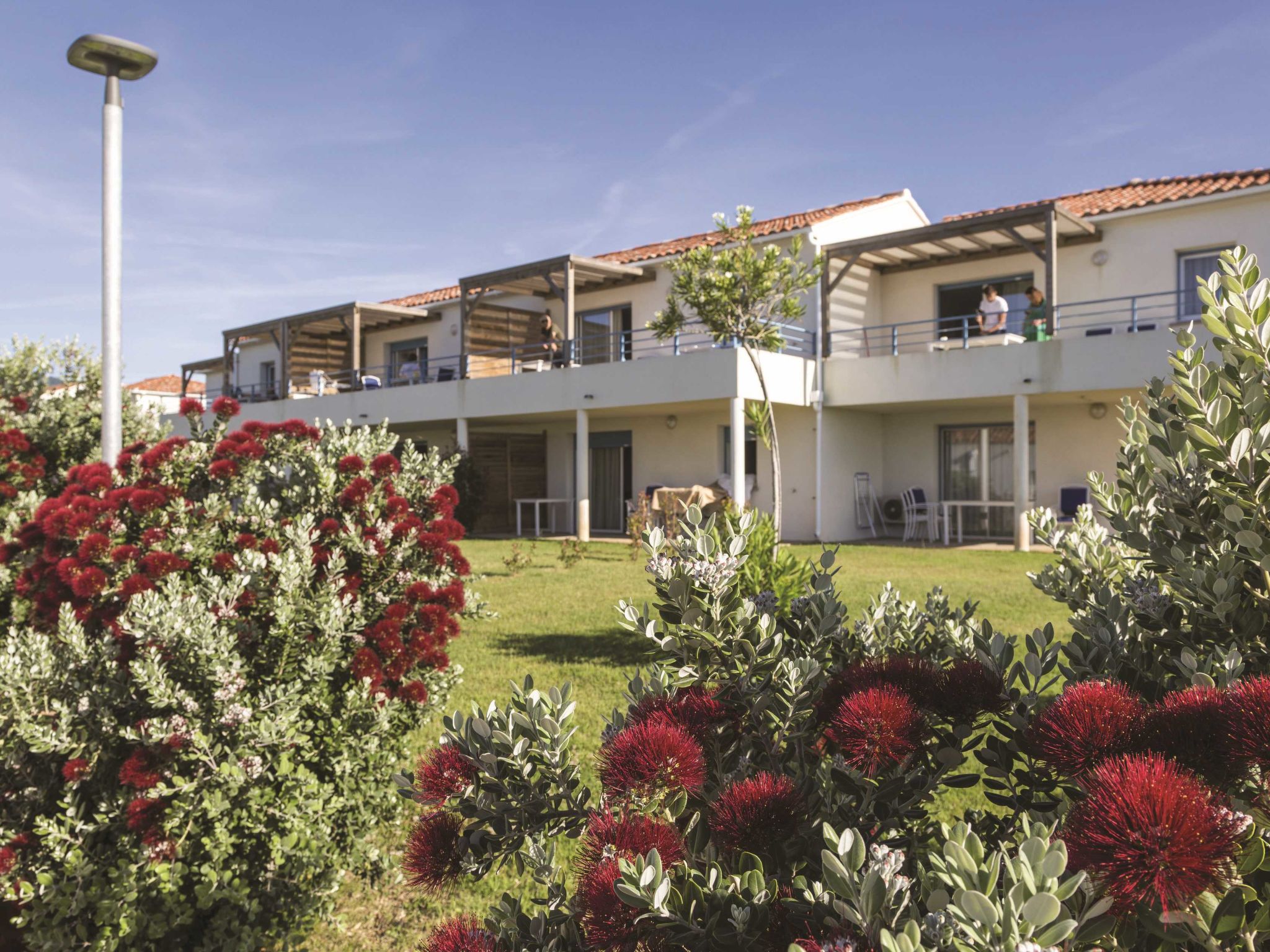 Photo 23 - Appartement de 2 chambres à Poggio-Mezzana avec piscine et vues à la mer