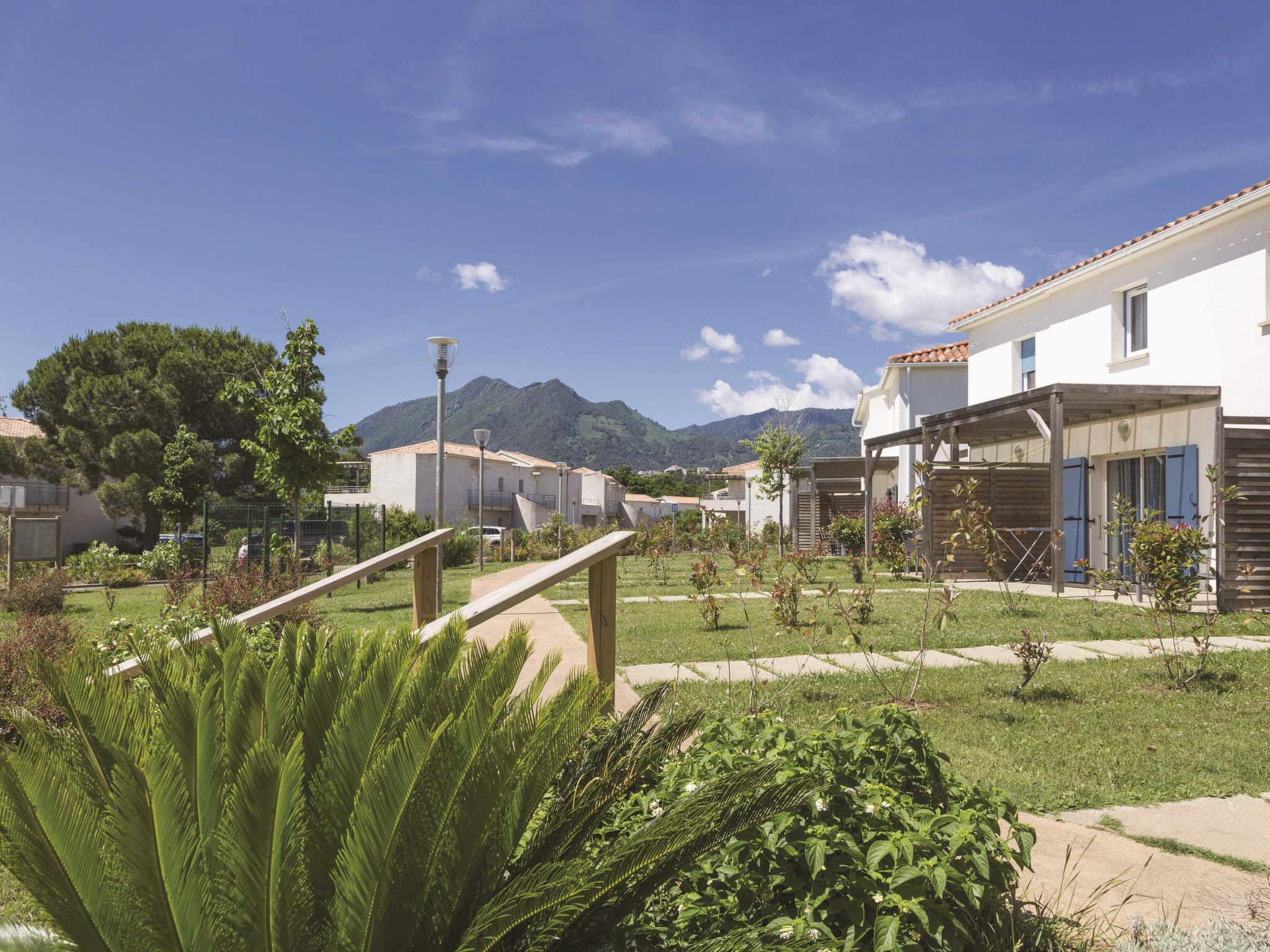 Photo 19 - Appartement en Poggio-Mezzana avec piscine et vues à la mer