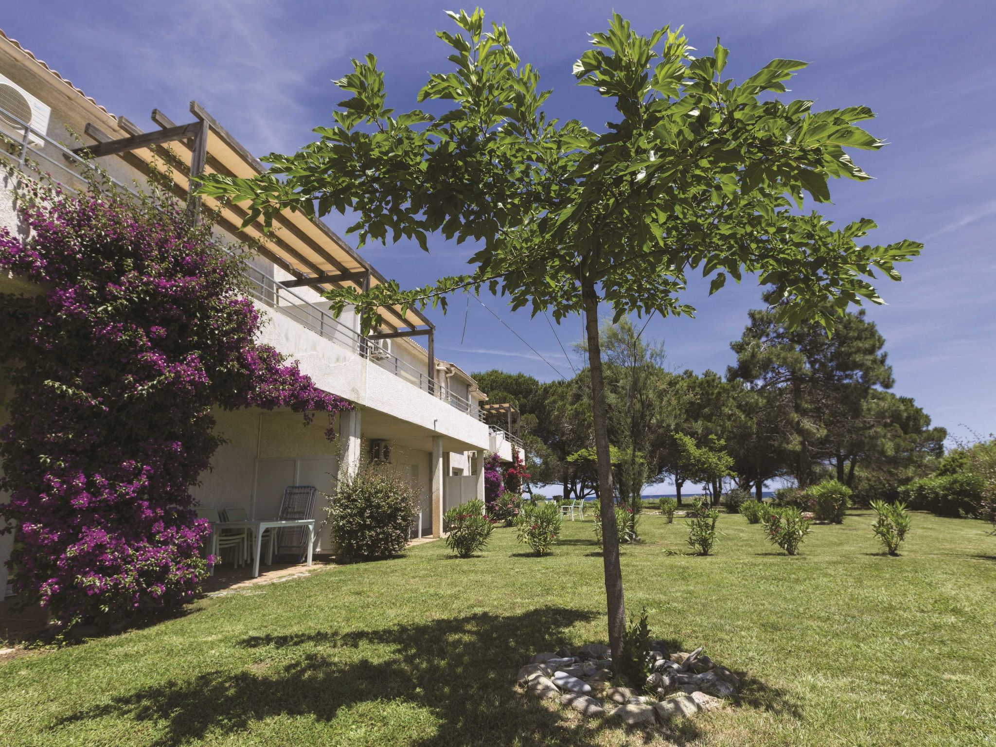 Photo 24 - Appartement en Poggio-Mezzana avec piscine et vues à la mer