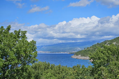 Foto 38 - Casa con 4 camere da letto a Senj con piscina privata e giardino