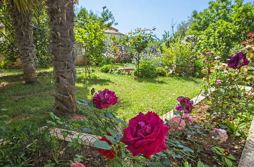 Foto 6 - Appartamento con 2 camere da letto a Vodnjan con giardino e terrazza