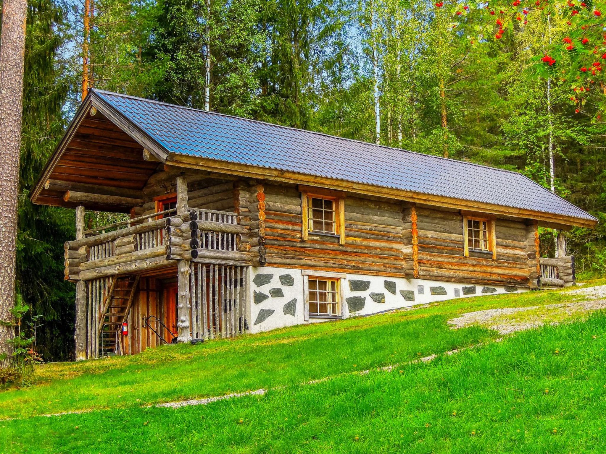 Foto 35 - Haus mit 3 Schlafzimmern in Pielavesi mit sauna