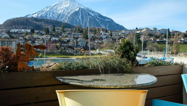 Apartamento de 1 quarto em Spiez - Foto 3