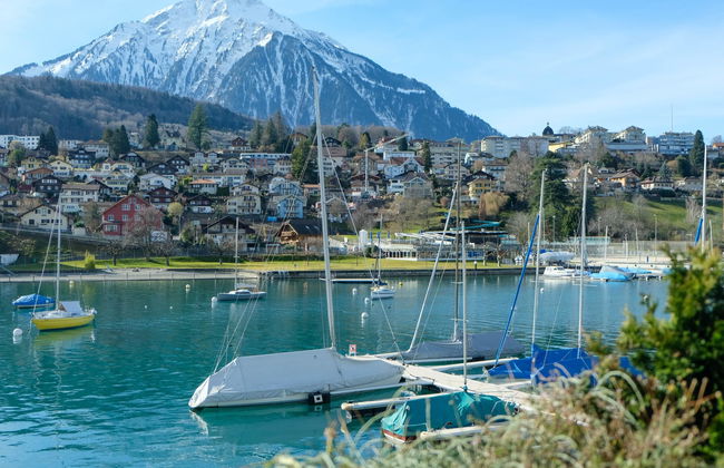 Apartamento de 1 quarto em Spiez - Foto 15
