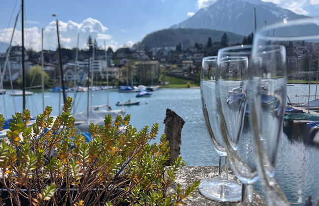 Apartamento de 1 quarto em Spiez - Foto 16
