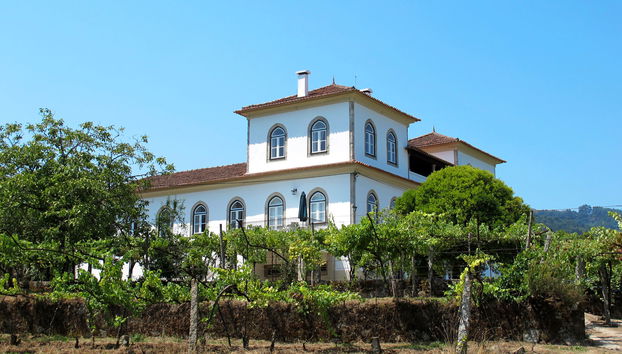 Haus mit 5 Schlafzimmern in Ponte de Lima mit schwimmbad und garten - Foto 3