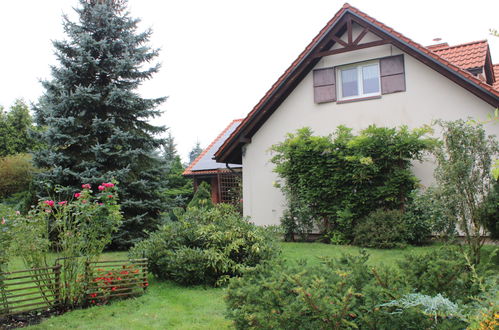 Photo 25 - 6 bedroom House in Magnuszew with terrace