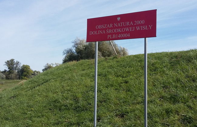 Casa de 6 quartos em Magnuszew com jardim e terraço - Foto 41