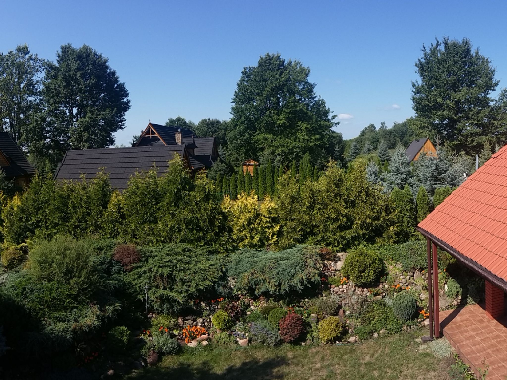 Photo 7 - Maison de 6 chambres à Magnuszew avec jardin et terrasse