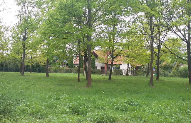 Casa de 6 quartos em Magnuszew com jardim e terraço - Foto 37
