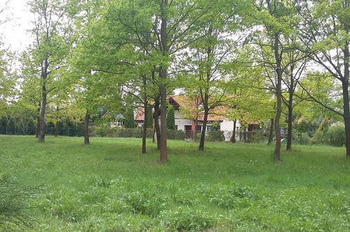 Photo 37 - Maison de 6 chambres à Magnuszew avec jardin et terrasse