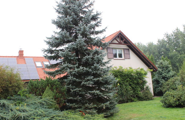 Casa de 6 quartos em Magnuszew com jardim e terraço - Foto 27