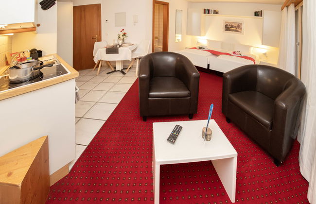 Apartamento de 1 quarto em Grindelwald - Foto 8
