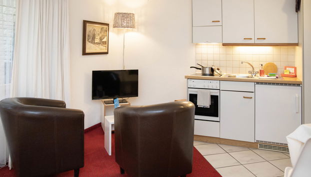Apartamento de 1 quarto em Grindelwald - Foto 4
