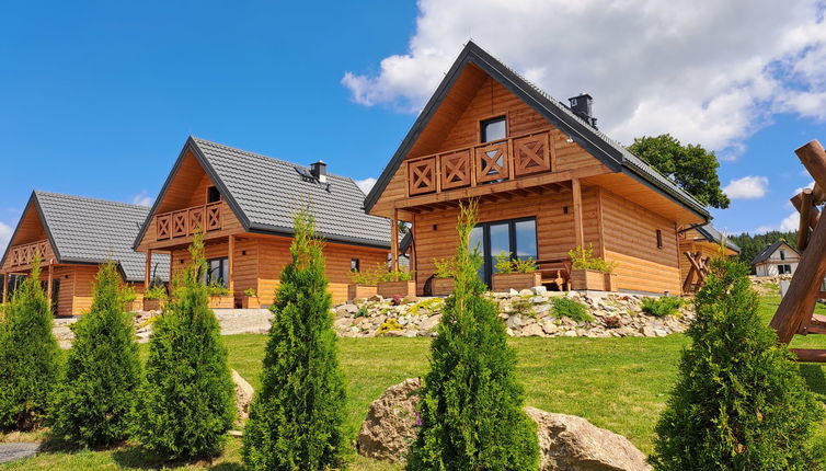 Photo 1 - Maison de 1 chambre à Bystrzyca Kłodzka avec jardin et vues sur la montagne