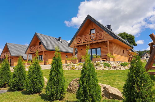 Photo 1 - Maison de 1 chambre à Bystrzyca Kłodzka avec jardin et vues sur la montagne