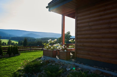 Foto 26 - Casa de 1 quarto em Bystrzyca Kłodzka com jardim e vista para a montanha