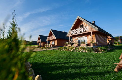 Photo 5 - Maison de 1 chambre à Bystrzyca Kłodzka avec jardin et vues sur la montagne