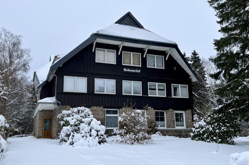 Foto 19 - Apartamento de 2 habitaciones en Braunlage con vistas a la montaña