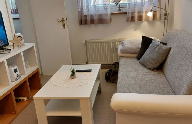 Apartamento de 3 quartos em Braunlage com jardim - Foto 1